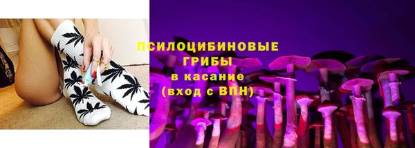 ГАЛЛЮЦИНОГЕННЫЕ ГРИБЫ Балабаново