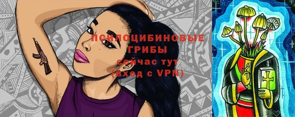 ГАЛЛЮЦИНОГЕННЫЕ ГРИБЫ Балабаново