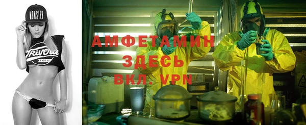 ГАЛЛЮЦИНОГЕННЫЕ ГРИБЫ Балабаново