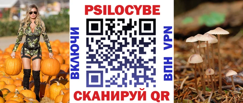 Галлюциногенные грибы Psilocybine cubensis  дарнет шоп  Калуга 